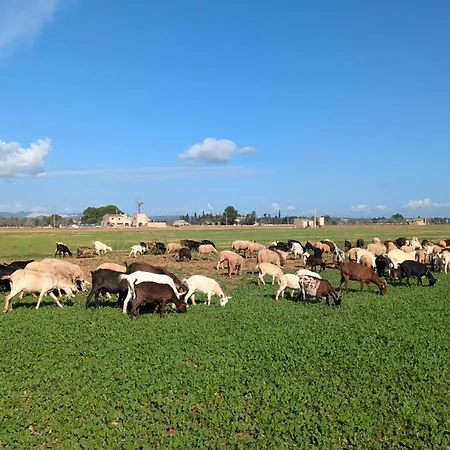 Country house Sant Blai Campos (Mallorca)