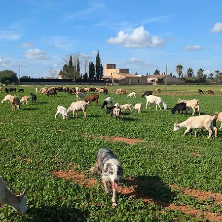 Sant Blai Country house
