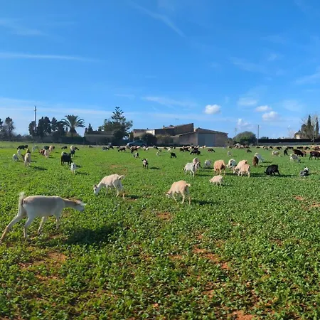 Sant Blai Country house Campos (Mallorca)