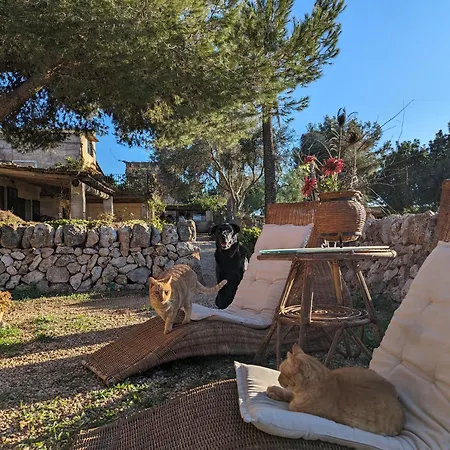 Sant Blai Country house