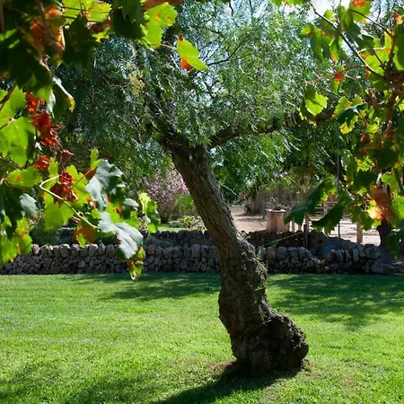 Sant Blai Gospodarstwo wiejskie Campos (Mallorca)
