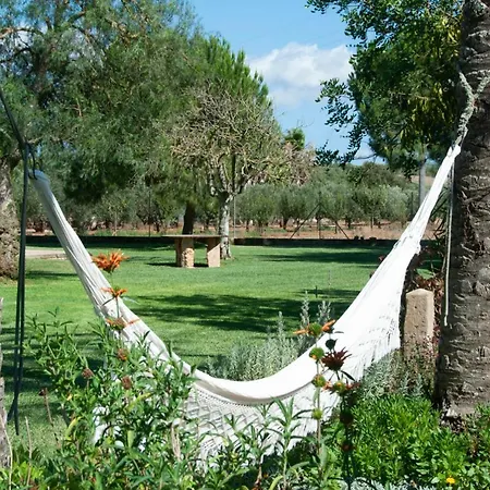 Gospodarstwo wiejskie Sant Blai Campos (Mallorca)